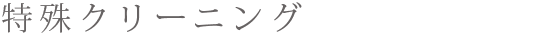 特殊クリーニング